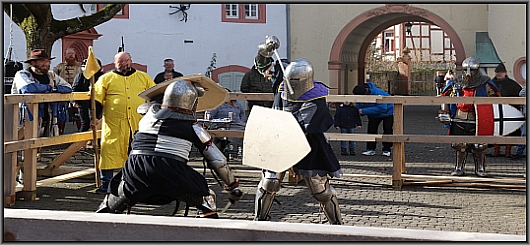 Vollkontakt Schwertkämpfer Vollkontakt Schwertkämpfer