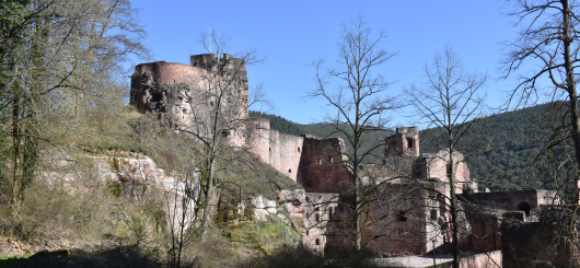 Die Hardenburg im Frühling Die Hardenburg im Frühling