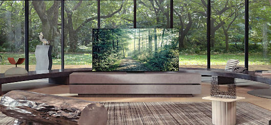 Edles Ambiente für einen Samsung-Fernseher. Naturnachahmung als Technik- und Lebensziel. Edles Ambiente für einen Samsung-Fernseher. Naturnachahmung als Technik- und Lebensziel.