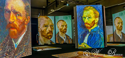Van Gogh Alive Van Gogh Alive