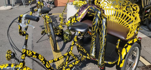 Fahrräder im Leopardenmuster Fahrräder im Leopardenmuster
