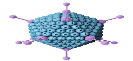 Schematische Darstellung eines Adenovirus: Solche für Menschen ungefährliche Viren werden als 