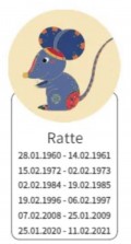 Ratte 