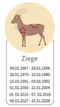 Ziege 