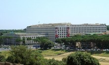 FAO in Rome