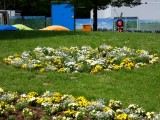 Eindrücke aus dem Roswithapark