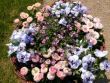 Lasst Blumen sprechen