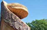 Als Kopfschmuck der Pilz Zunderschwamm, seit der Steinzeit zun Feuermachen und als Medizin bekannt.