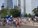 Aufzug. Friedensdemo. Frankfurt am Main, 29.06.24