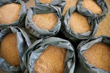 FAO Food Price Index