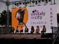 Vinitaly and the City Sibari