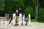 Pferd Wels 2023  - CSN-A* Springturnier